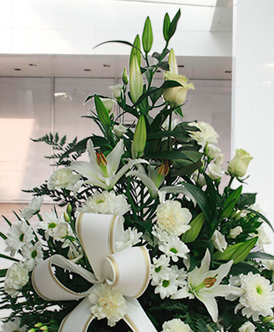 Centros Fúnebres al tanatorio